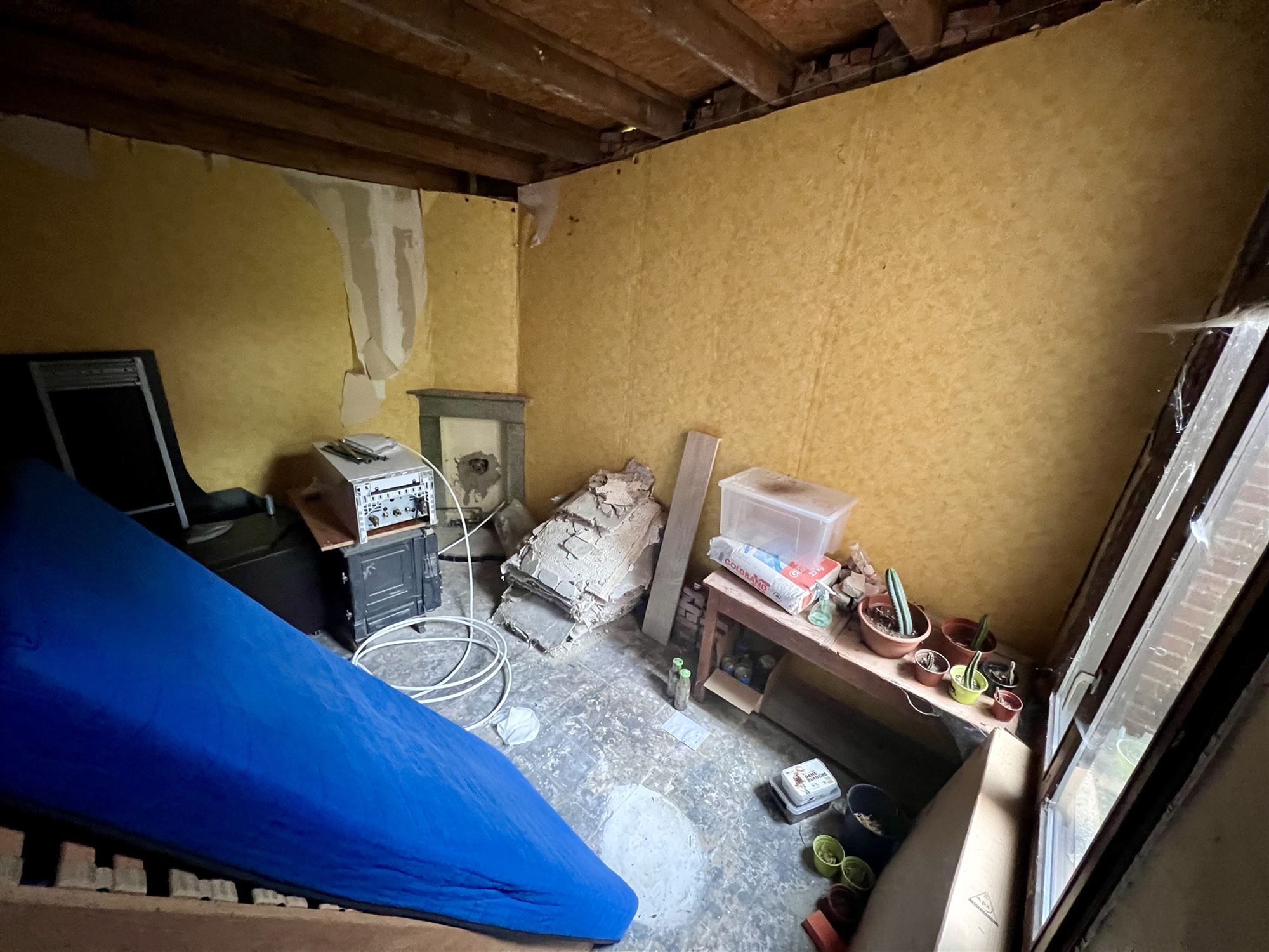 Ruime kangoeroewoning met 8 slaapkamers foto 24