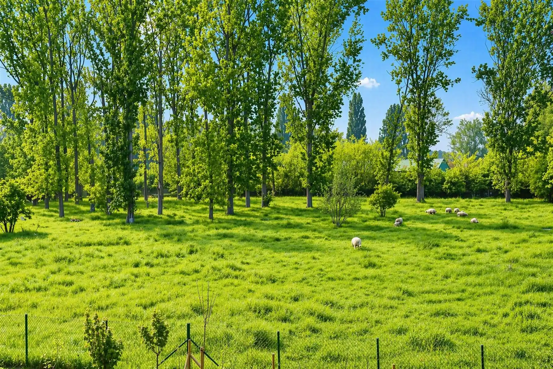 Nieuwbouwappartement te huur in Halle 2de verdiep – 2 kamers  terras foto 8