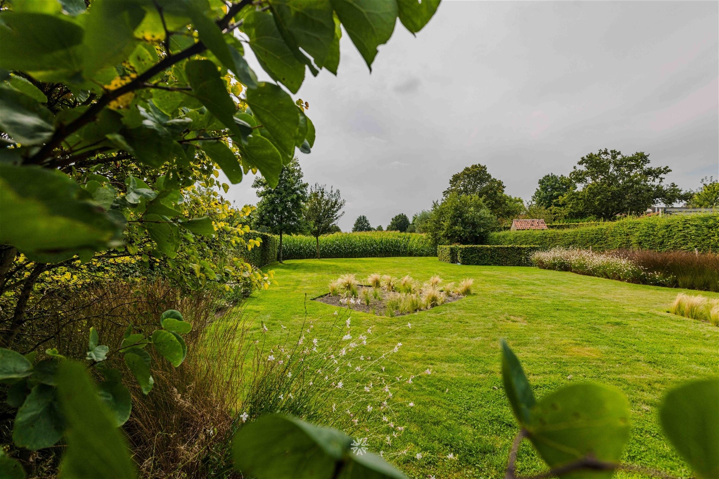 Instapklare bungalow in de pittoreske dorpskern van Wannegem-Lede foto 3