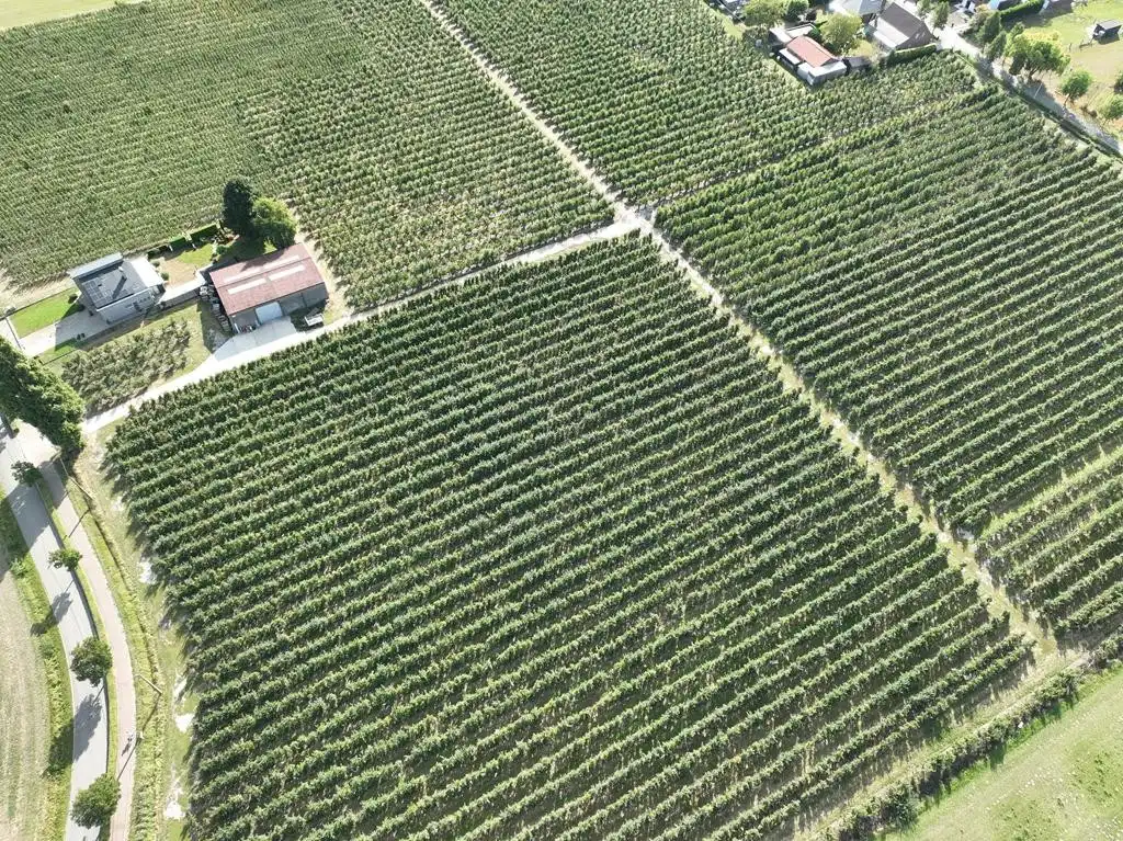 Boomgaard met loods foto 4