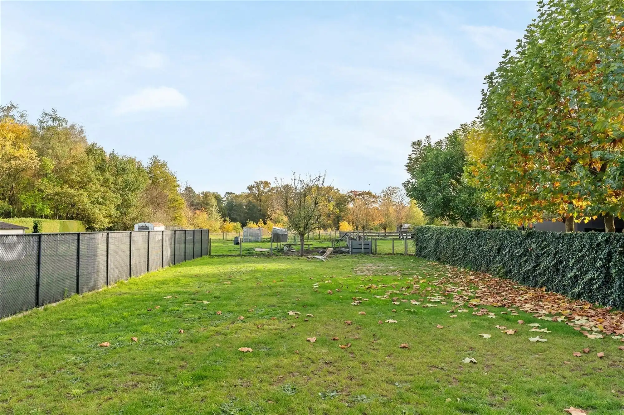 COMPLEET GERENOVEERDE WONING OP PERCEEL VAN BIJNA 9 ARE VLAK BIJ ZOLDER CENTRUM, OMGEVEN DOOR GROEN. foto 31