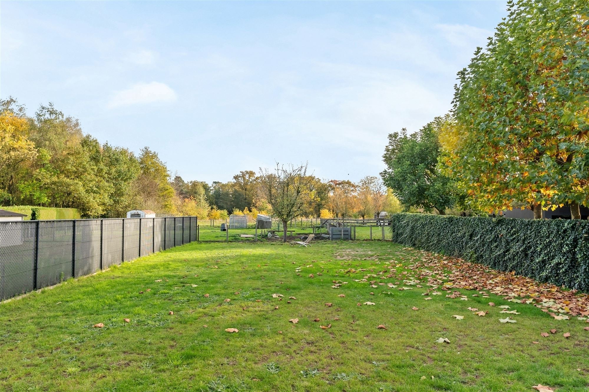COMPLEET GERENOVEERDE WONING OP PERCEEL VAN BIJNA 8 ARE VLAK BIJ ZOLDER CENTRUM, OMGEVEN DOOR GROEN. foto 31