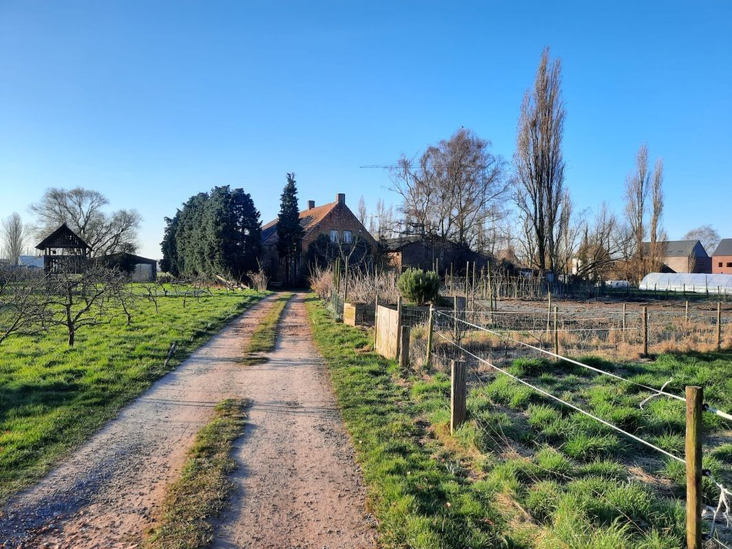 Hoofdfoto van de publicatie: In dorpskern gelegen hoeve te koop te Hoevenen (Stabroek)
