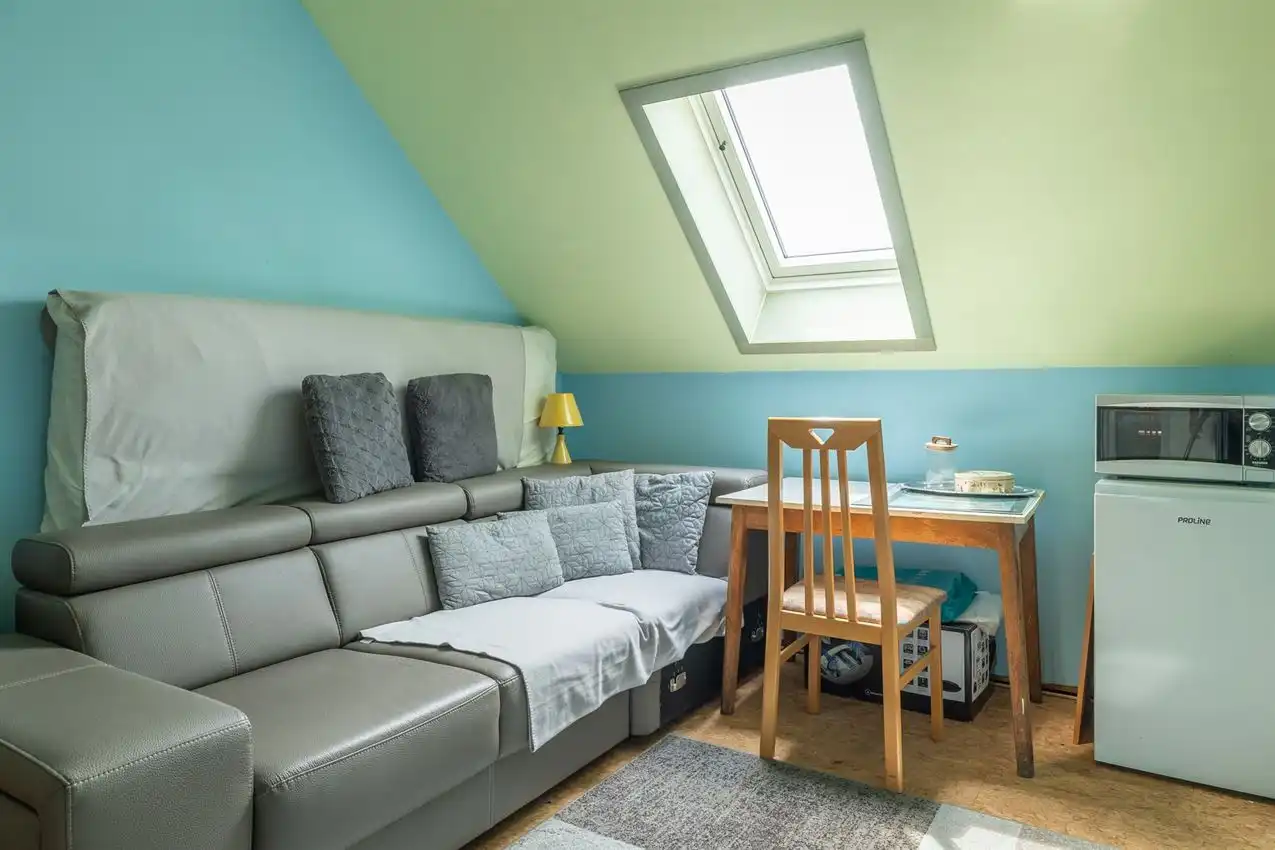 Uniek hoevepand met vele mogelijkheden: kangoeroewoning, horeca, vrij beroep... foto 17