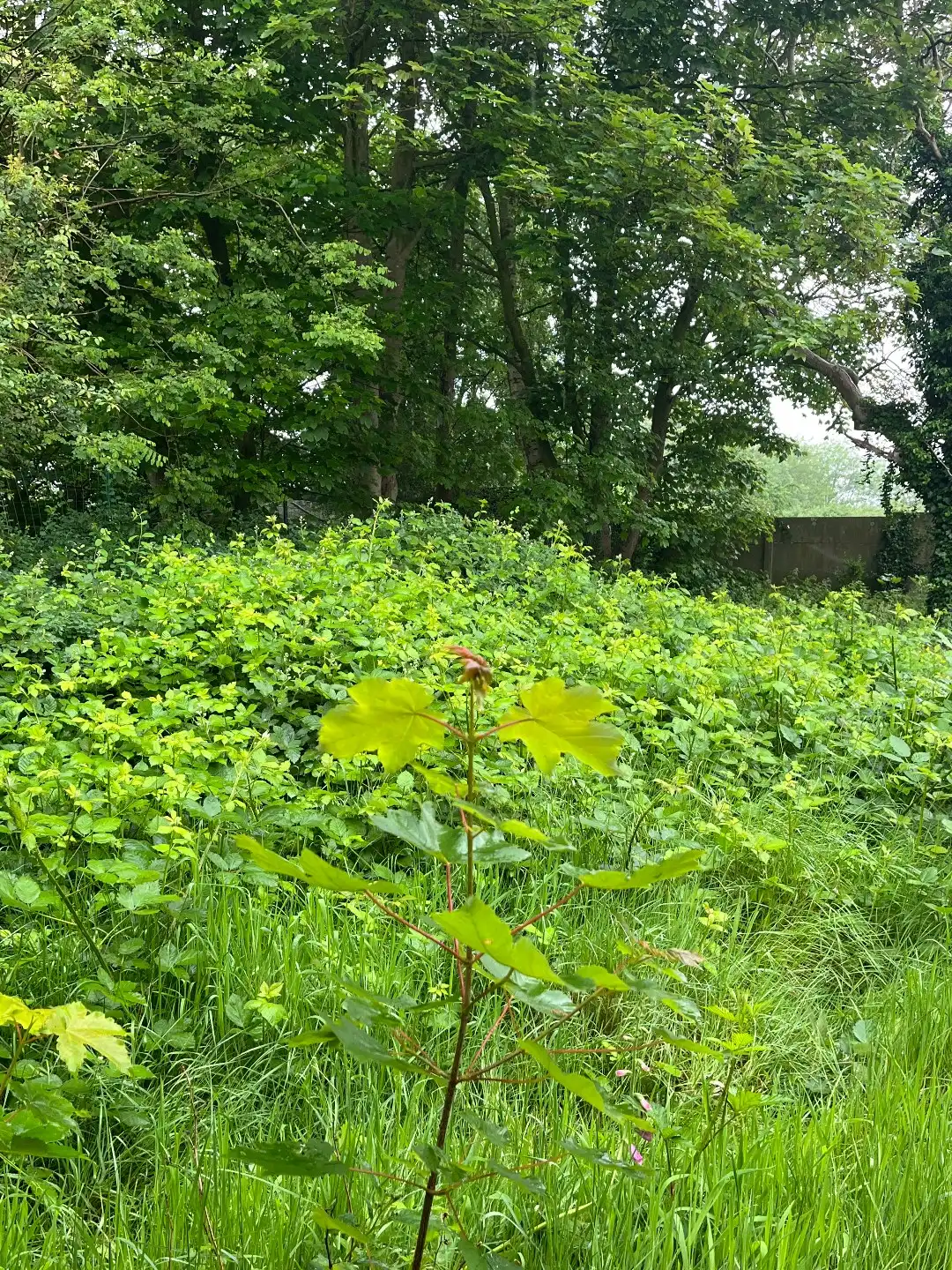 Interessant project in industrieel erfgoed foto 12