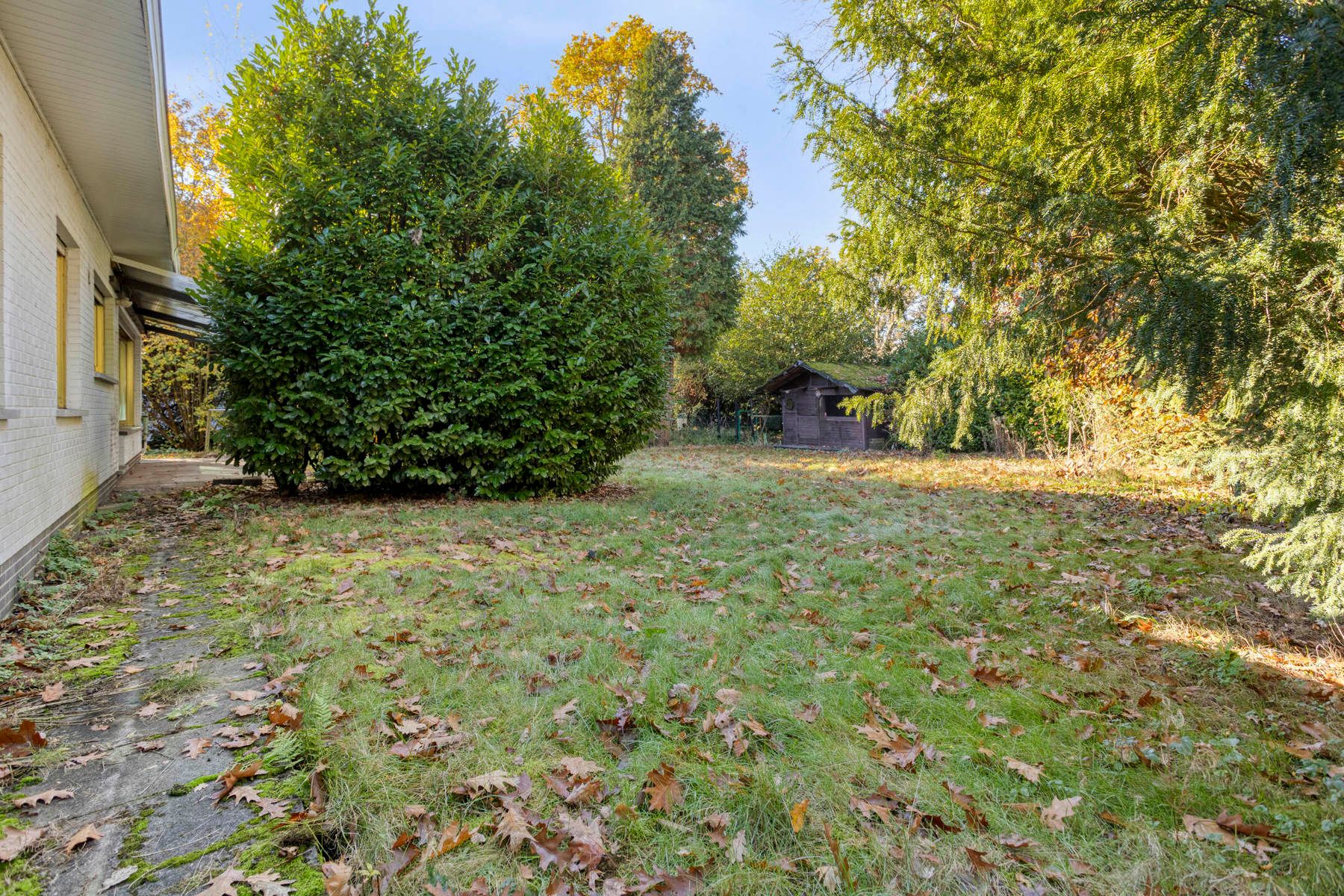 Ruime open bebouwing in Zoersel op een perceel van 2004m².  foto 32