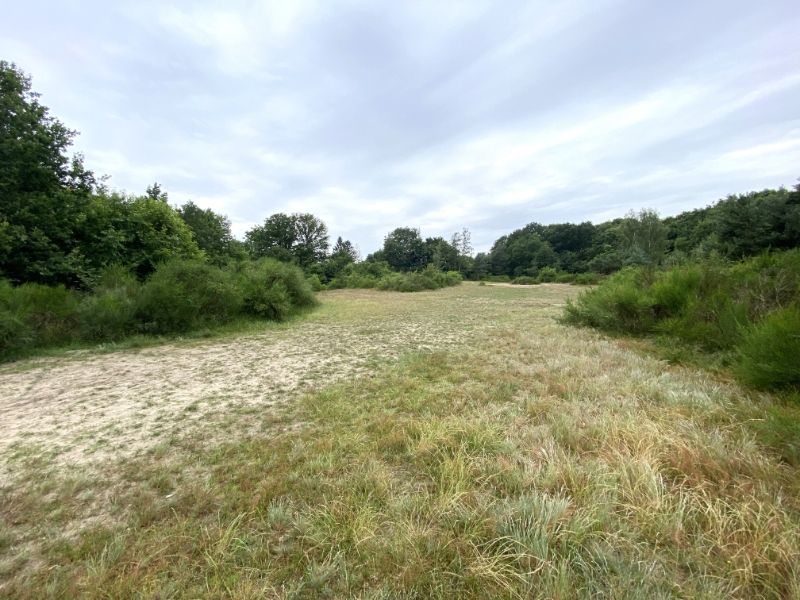 Woning met tuin in rustige doodlopende straat nabij natuurgebied De Zandberg foto 18