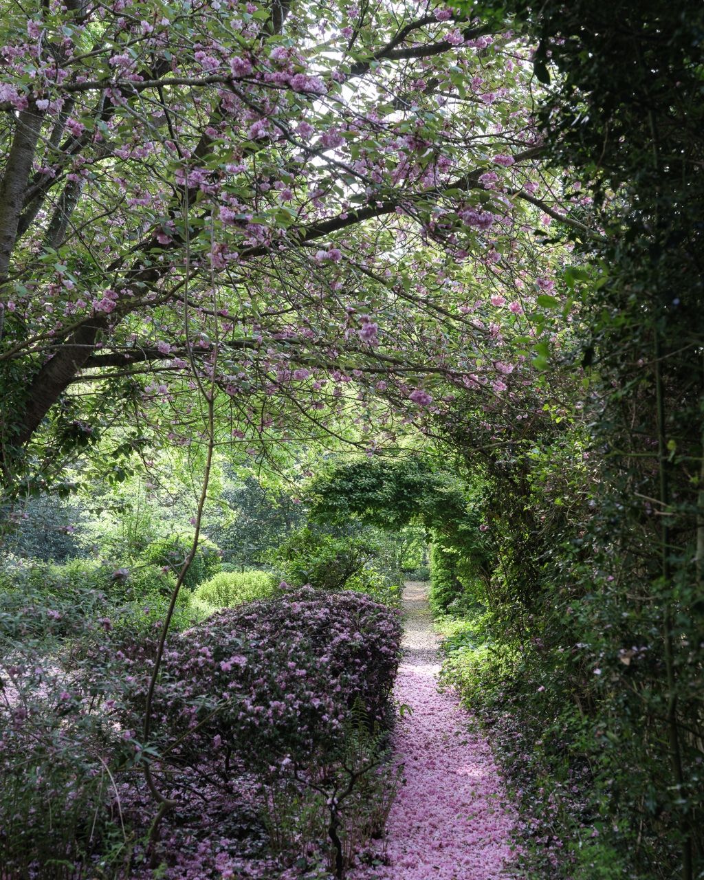 Uitzonderlijke opportuniteit Sint-Amandsberg – ‘Villa Bromelia’ - Statige en ruime woning (437m2 bvo) met een prachtig aangelegde tuin op een boogscheut van het stadscentrum – nabij de Rozenbroeken. foto 32