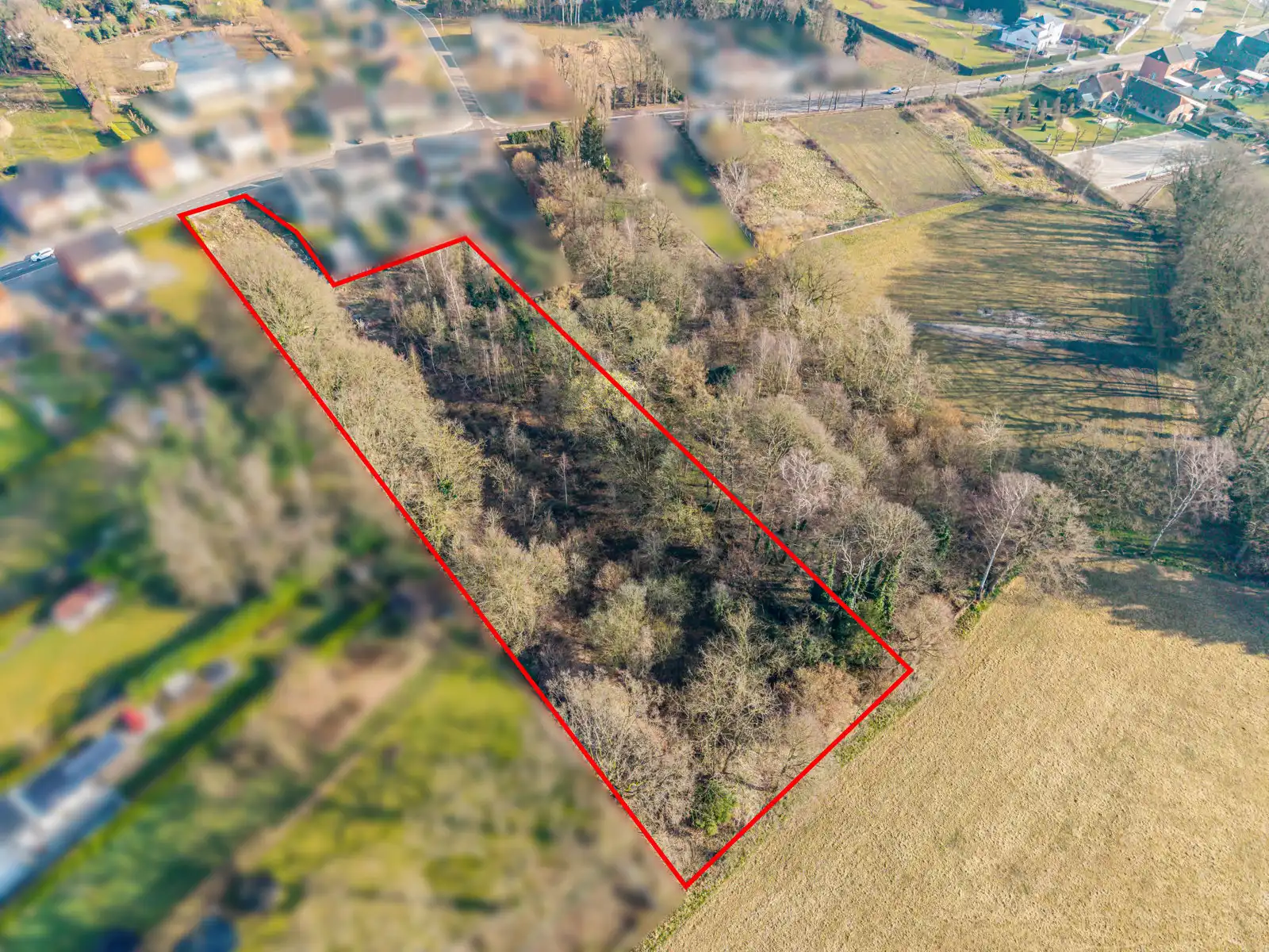 Bouwgrond op 9a 68ca + optie weide op 58a 40ca nabij centrum foto 2