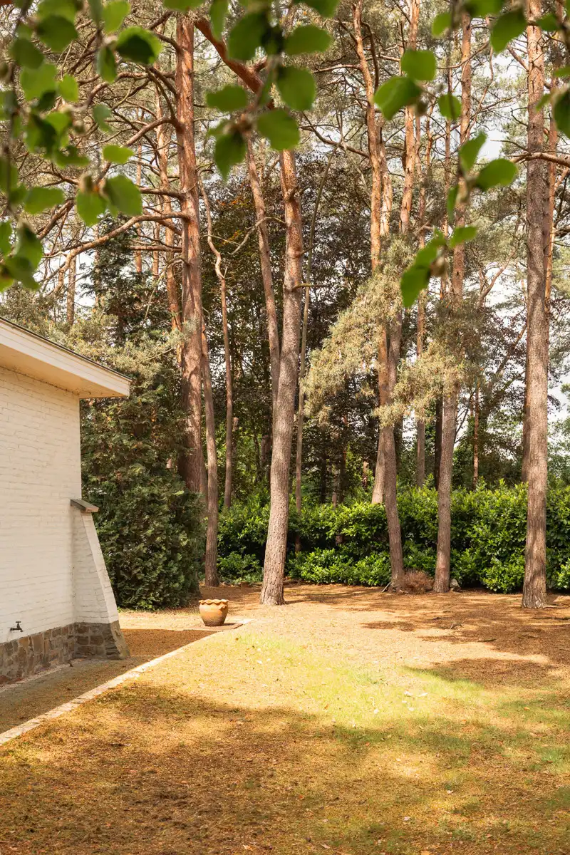 Te renoveren open laagbouwwoning op 2.497 m² te Tremelo foto 23