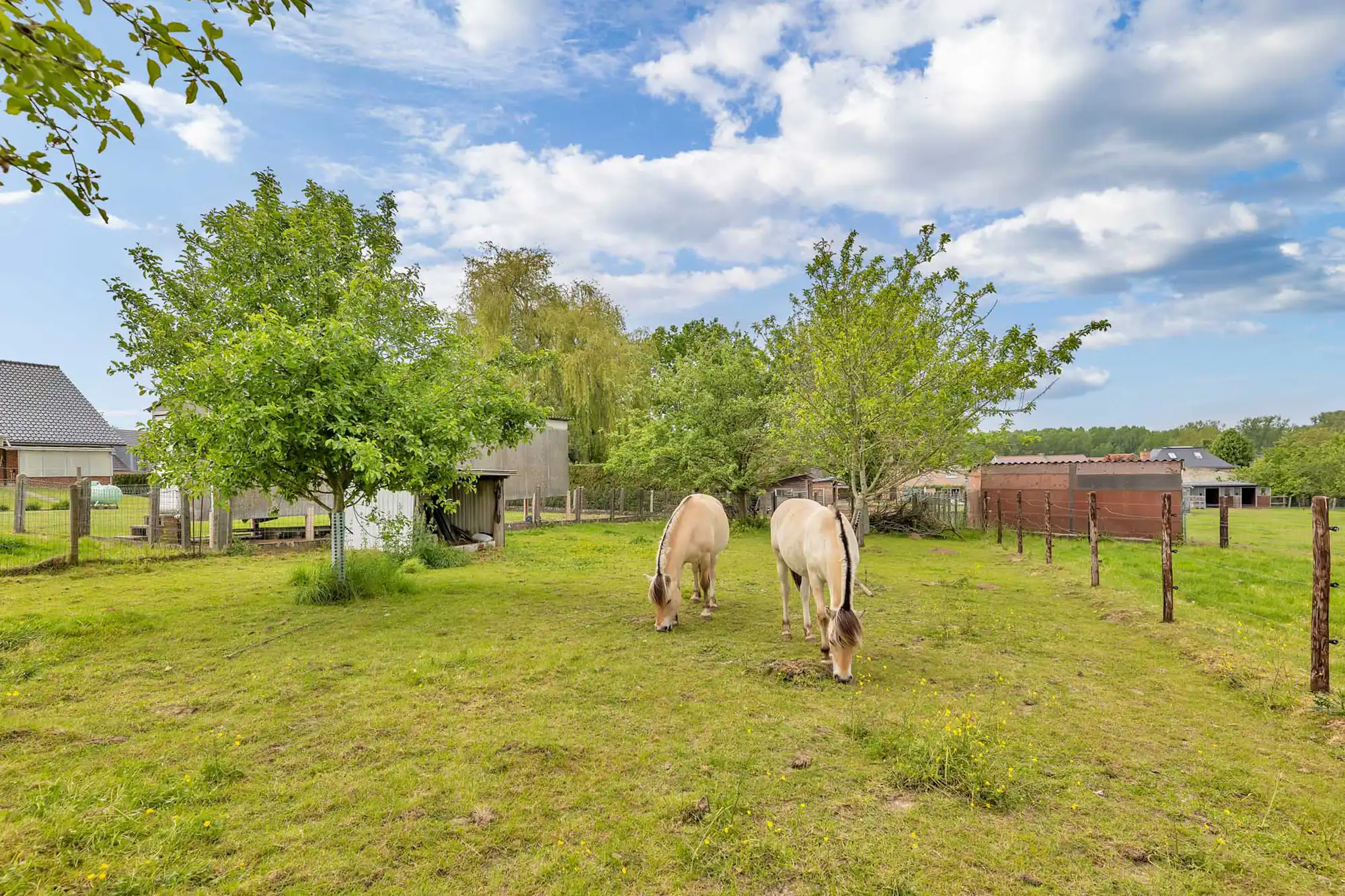 Landelijk wonen met ruimte voor dieren en boomgaard op 18a45 foto 28