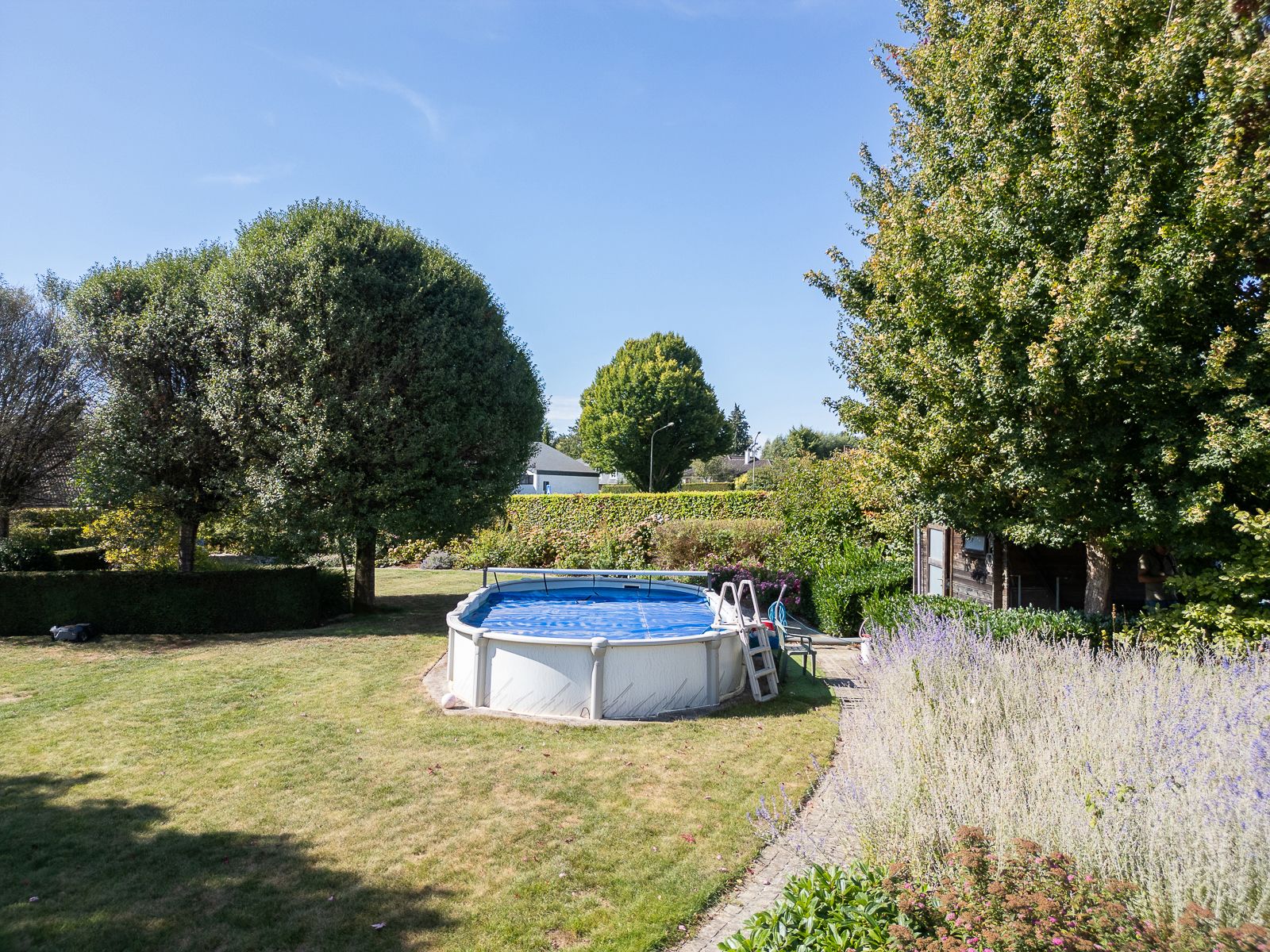 Een warme thuis in het groen foto 25