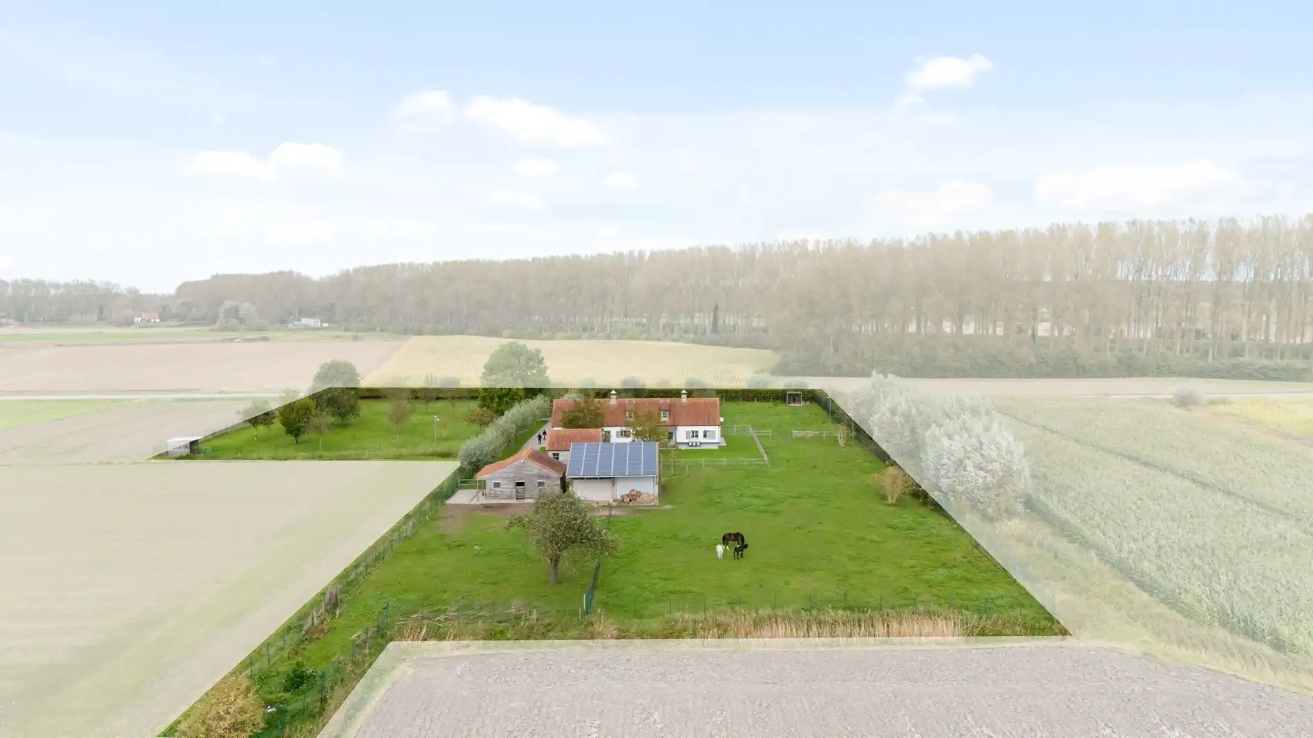 Schitterende hoeve met weilanden - Geen functiewijziging nodig foto 2