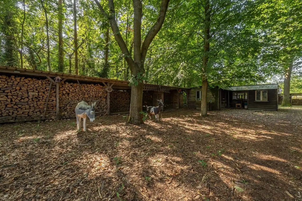 Retrokarakter, diepe tuin en bosgevoel achteraan foto 5