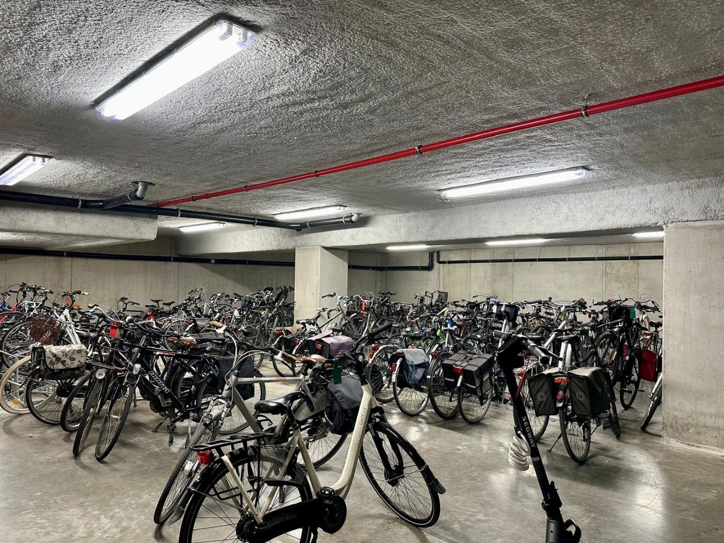 Rustig gelegen appartement vlakbij station Brugge, omringd door groen foto 11