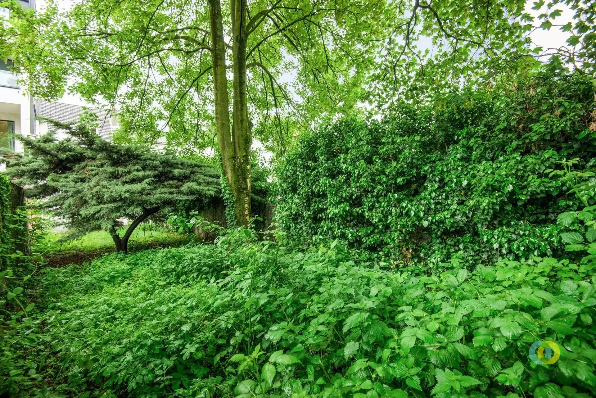 Charmante stadswoning met uitzonderlijk potentieel en diepe tuin foto 18
