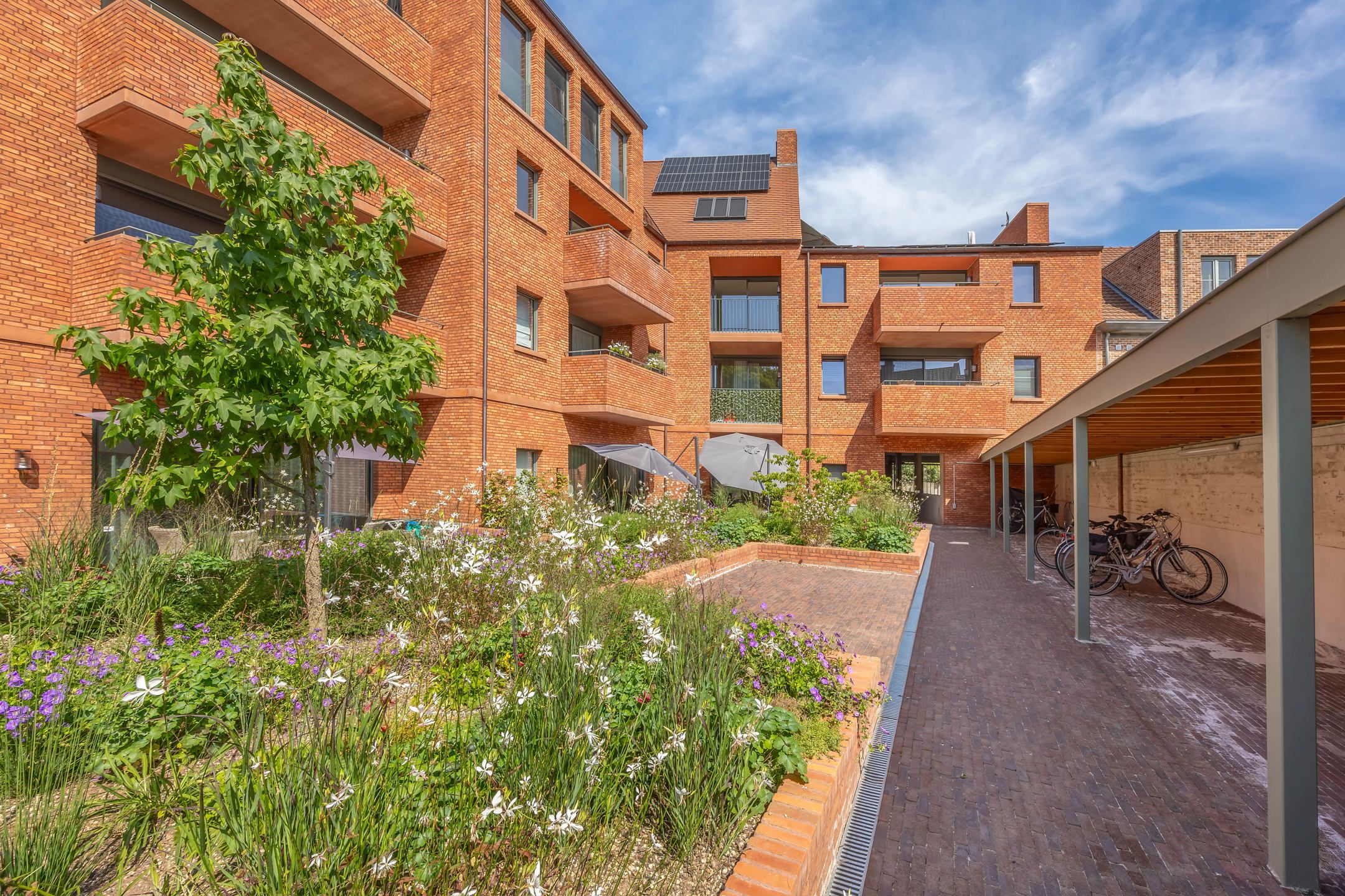Luxueus en energiezuinig wonen in het dorp van Oostmalle. foto 7