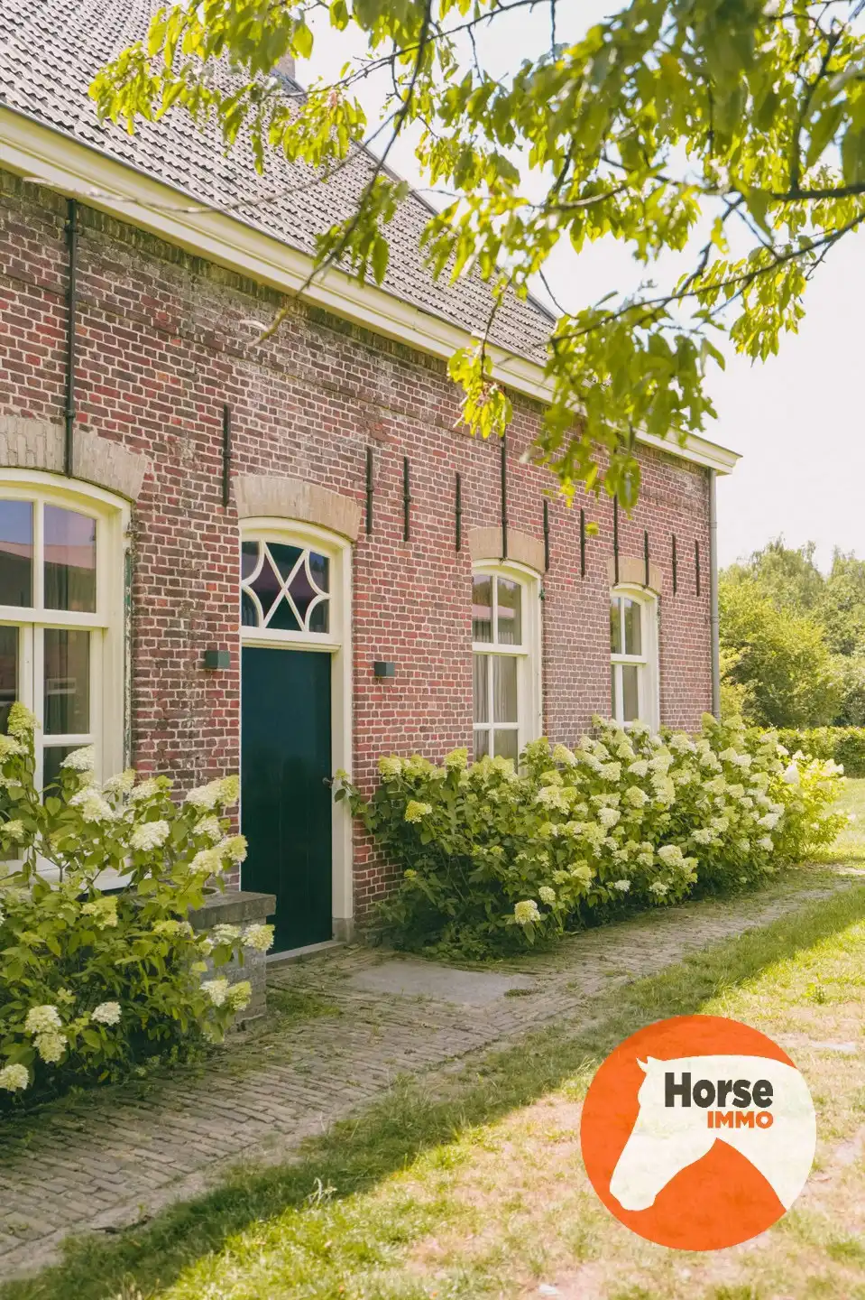 AXEL - Hoeve op een goede locatie met paardenfaciliteiten foto 17