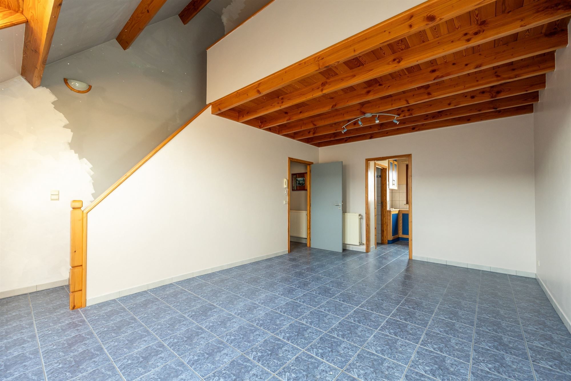 Ruime woonst, polyvalente ruimte, studio en garage foto 14