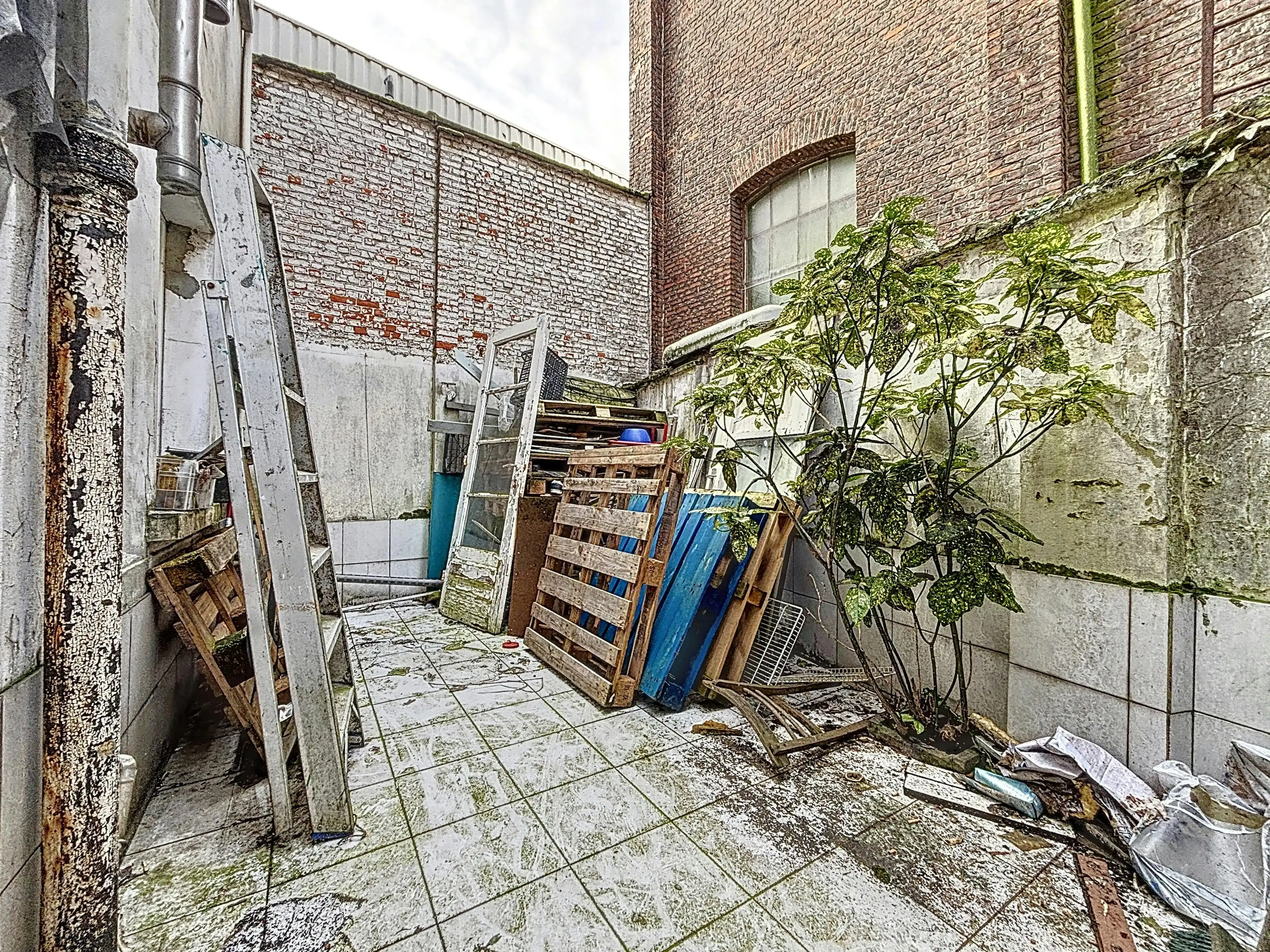 Opbrengsteigendom te koop Antwerpen Noord foto 16