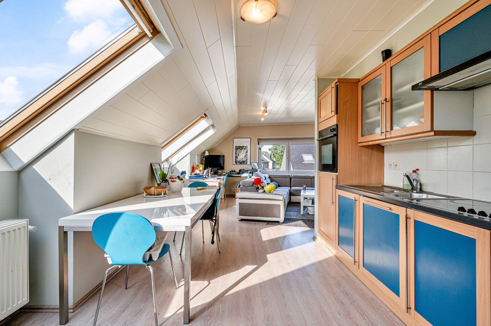 Charmant en lichtrijk dakappartement in Gent, vlak bij natuurreservaat Bourgoyen-Ossemeersen foto 10