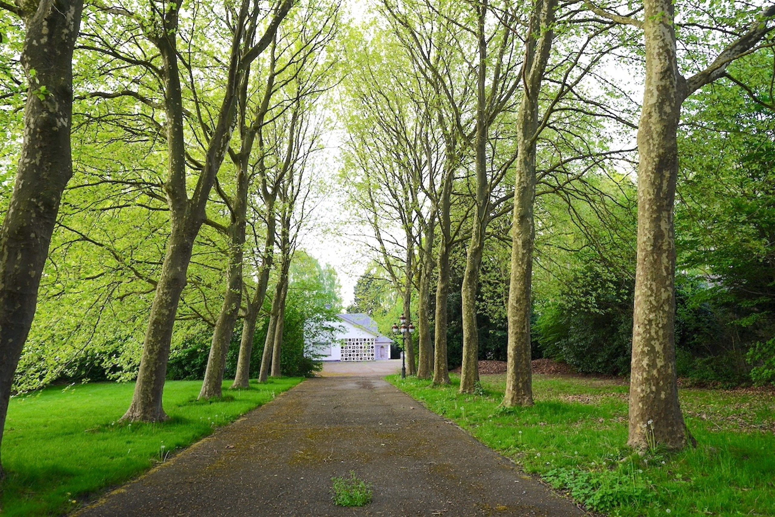 Majestueuze eigendom gelegen op een weelderig landgoed van ca. 1 ha! foto 3