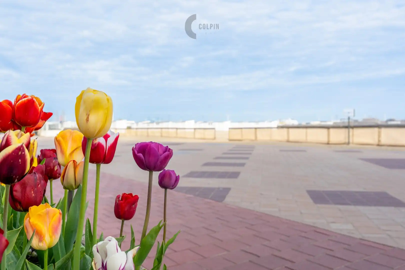 Modern en instapklaar appartement in Heist, vlakbij de zee foto 9