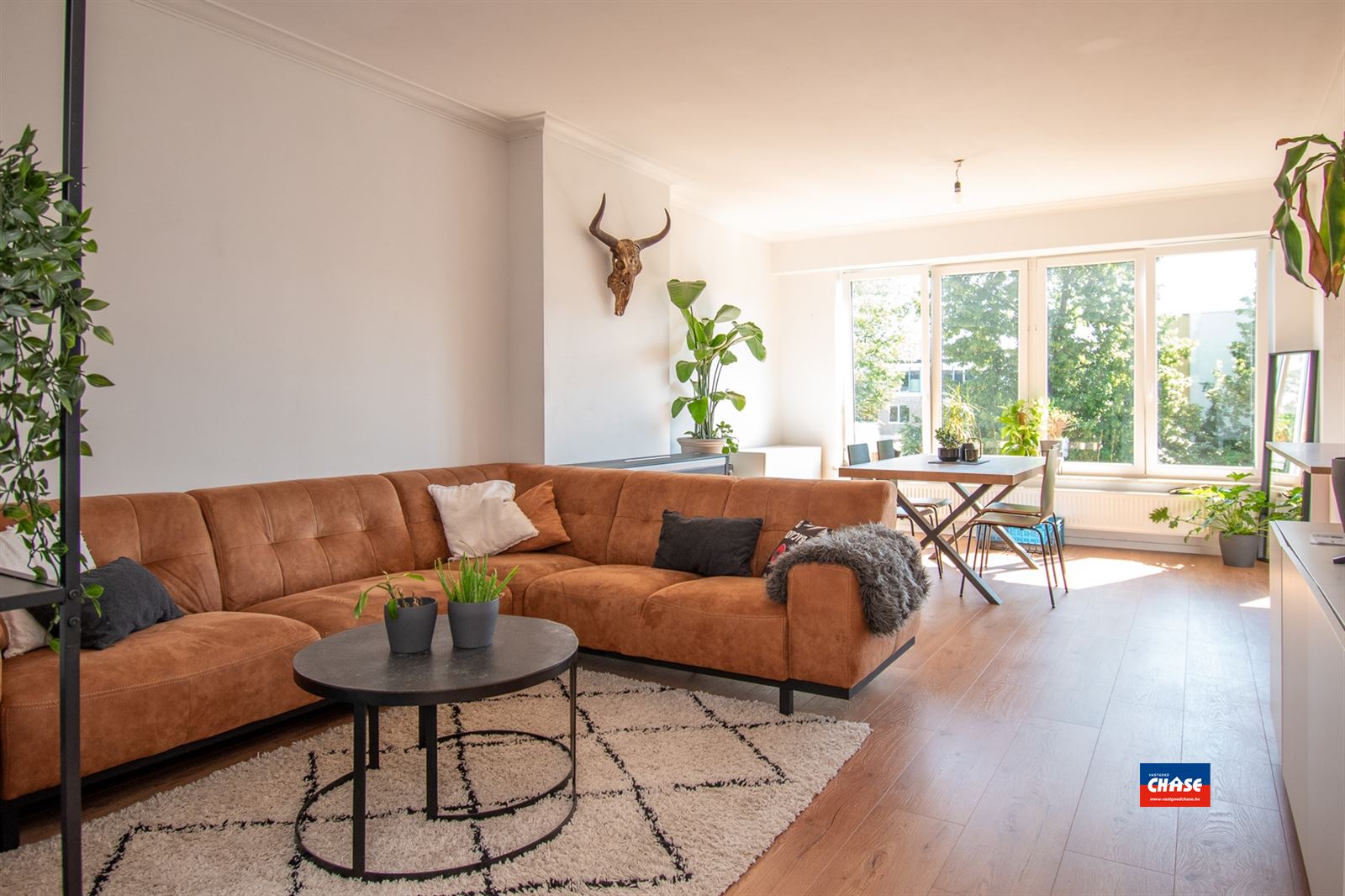 Volledig gerenoveerd appartement met 2 slaapkamers en balkon foto 6