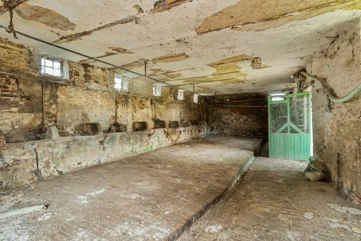 Te renoveren hoeve met schuren op ca. 1,3ha! foto 12