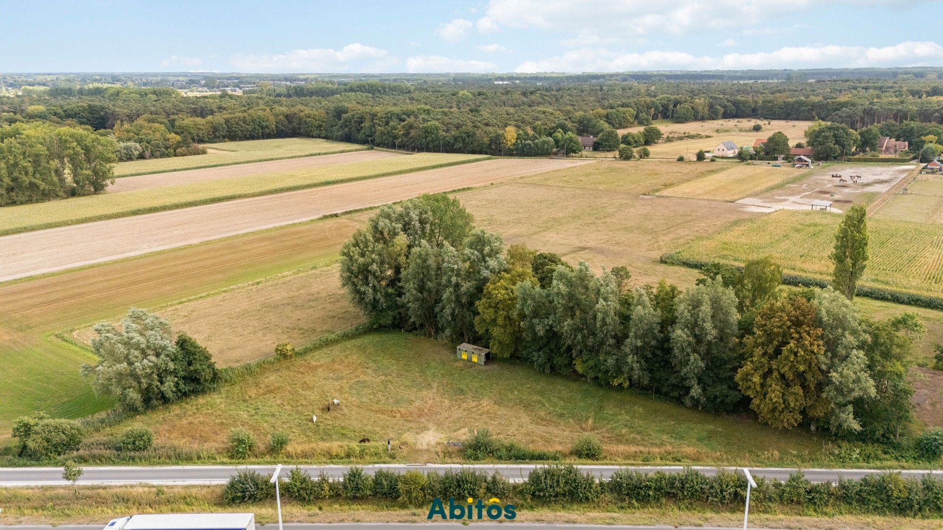 Unieke weide van 3.465 m² – ideaal voor paardenliefhebbers foto 2