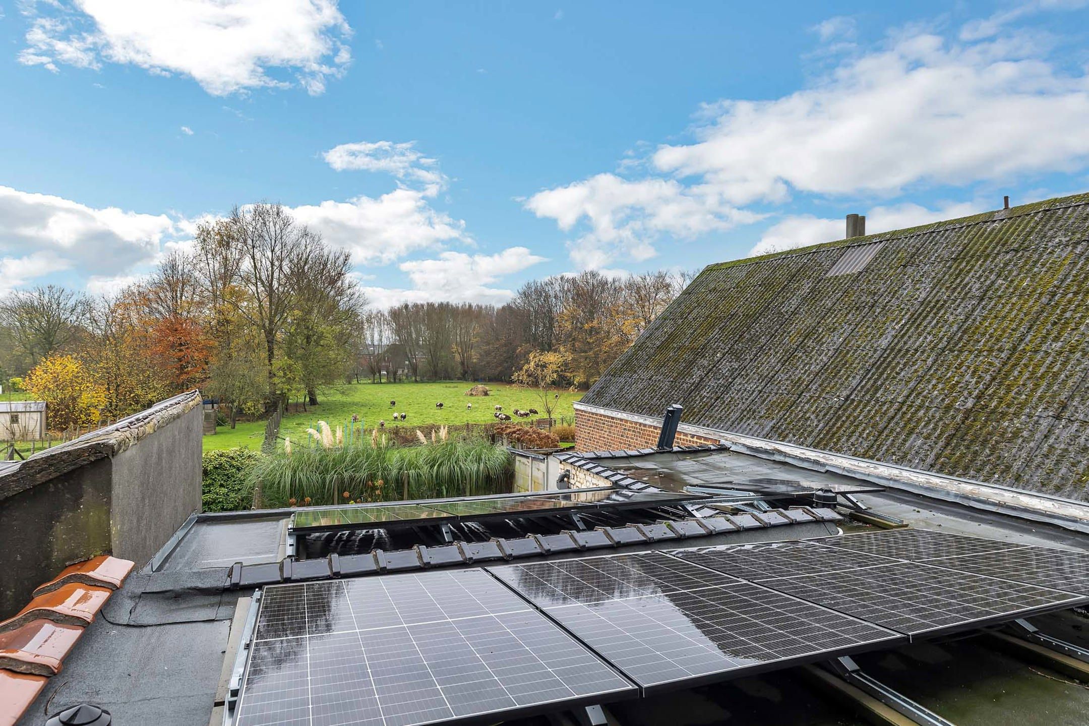 Verder af te werken woning met 3 slpks en gezellige tuin foto 30