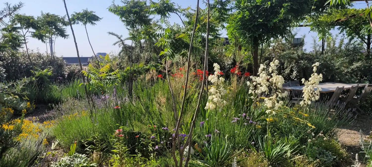 Uitzonderlijke loft 200m² + aangelegde daktuin, terras en 2 optionele garages in rustig, groen woonerf op de grens Borgerhout/Antwerpen foto 40