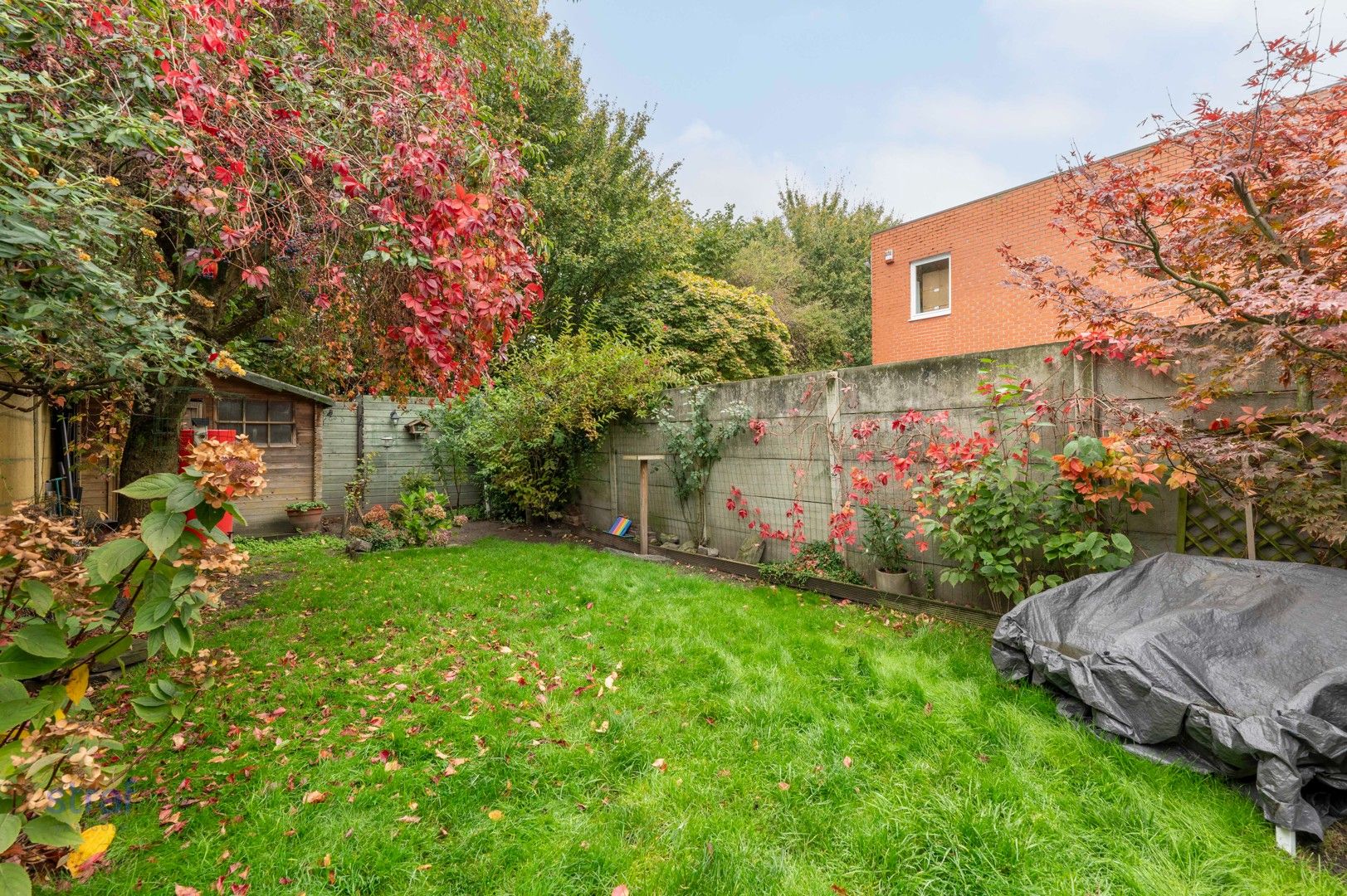 4-slaapkamer woning met tuin te koop in Wilrijk foto 9