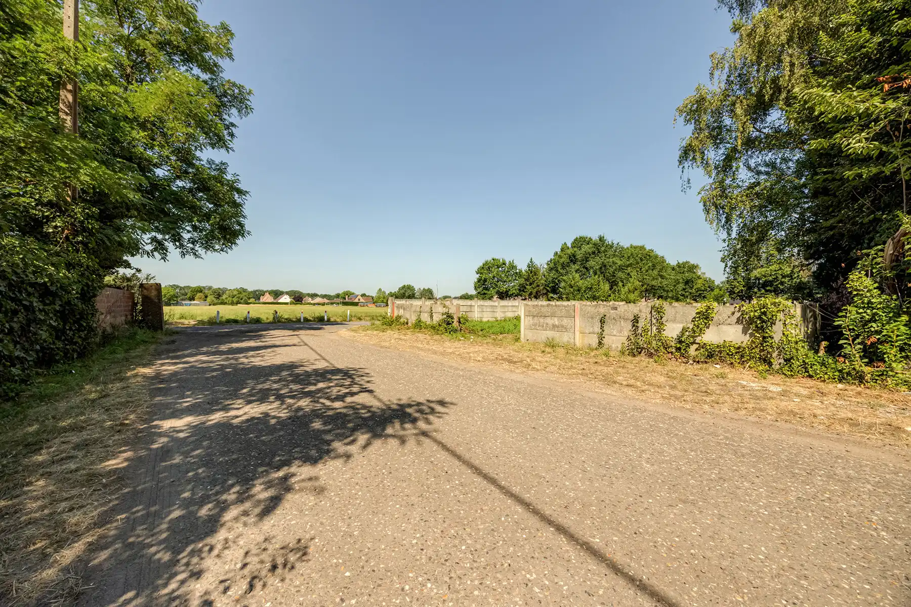 🌿WAAUW - ruimte, zon en stilte op wandelafstand v/h centrum foto 9