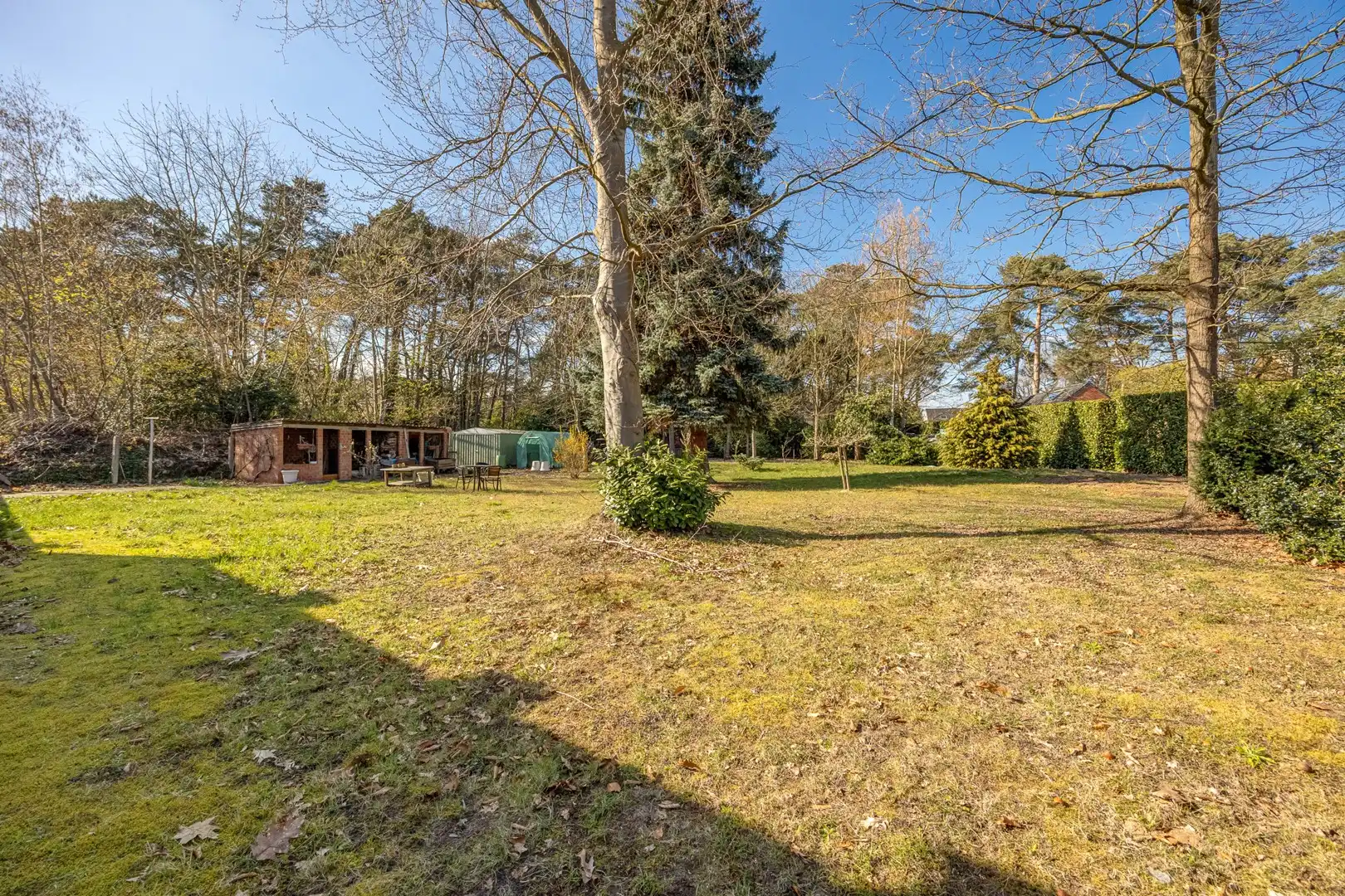 Vrijstaande woning met veel ruimte, omgeven door groen. foto 5