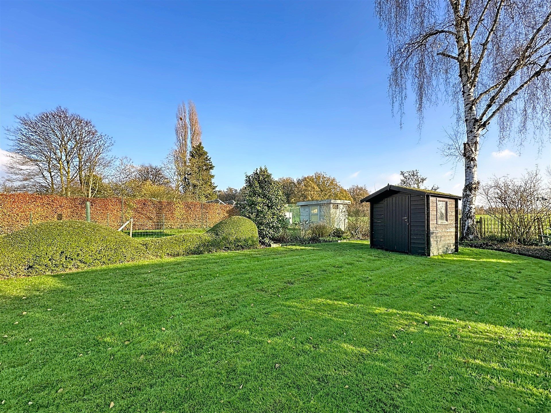 Half open bebouwing met 3 slaapkamers op perceel van 492m² foto 6