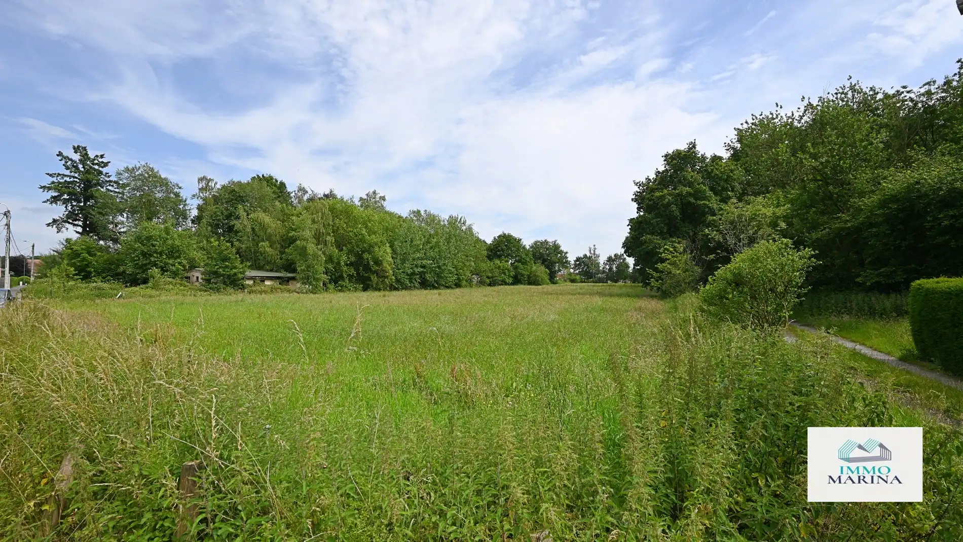 Landbouwgrond / paardenweide te koop te Baal foto 12
