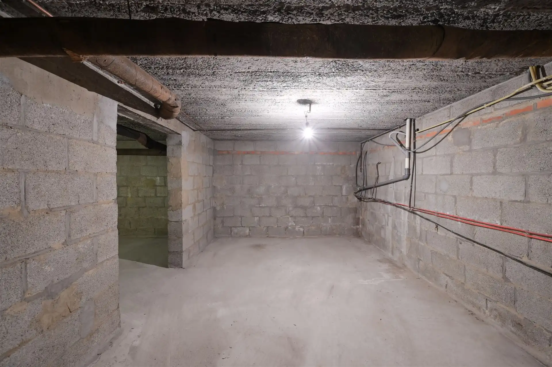 Ruime woning vol potentieel op 906 m² te Blauberg (Herselt) foto 19