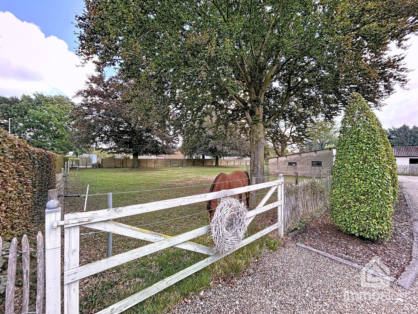 Landelijk wonen in Oudsbergen, omringd door weiland met paardenstallen! foto 19