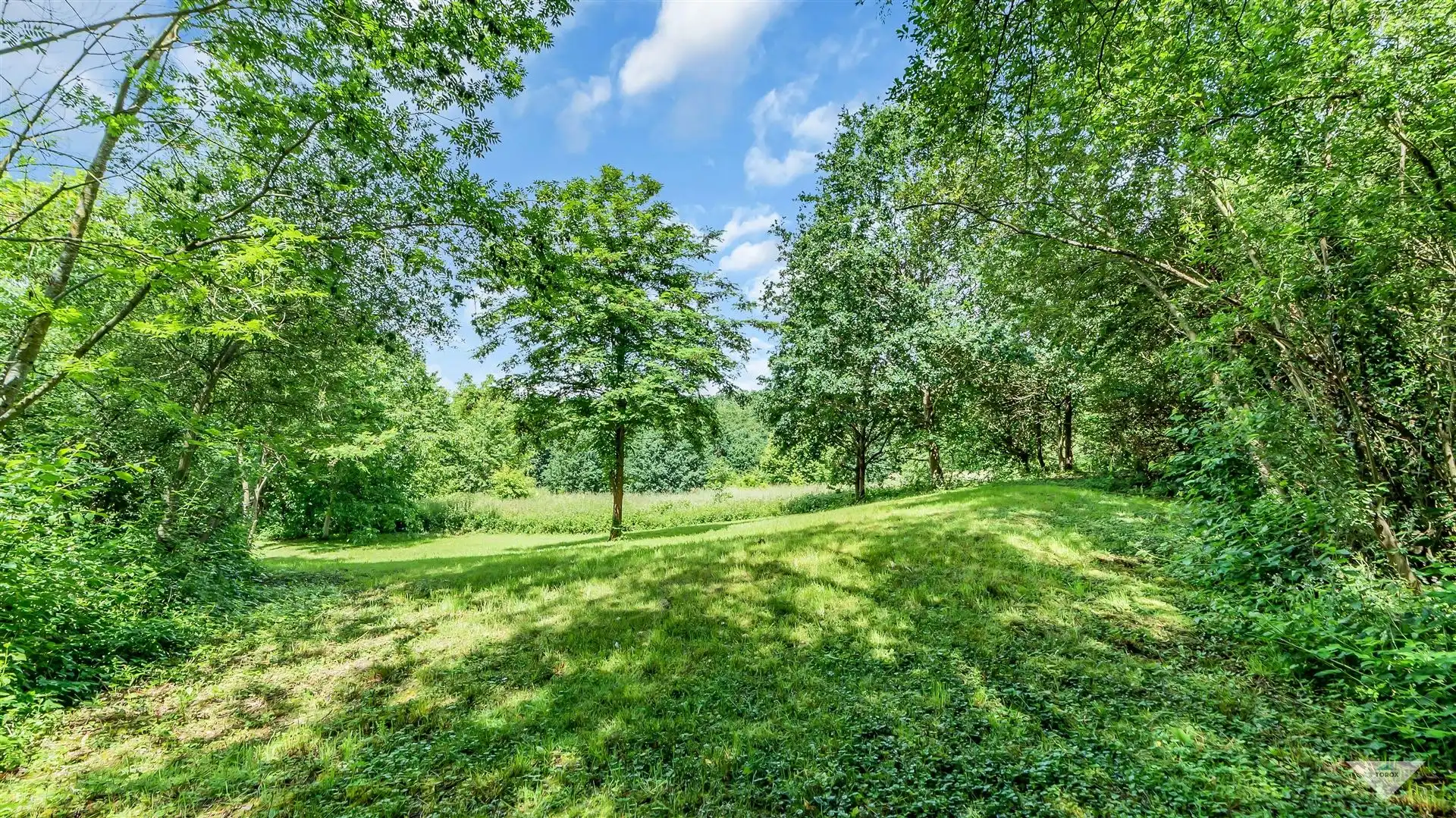 Woning met binnenzwembad en sauna in natuurgebied! foto 31
