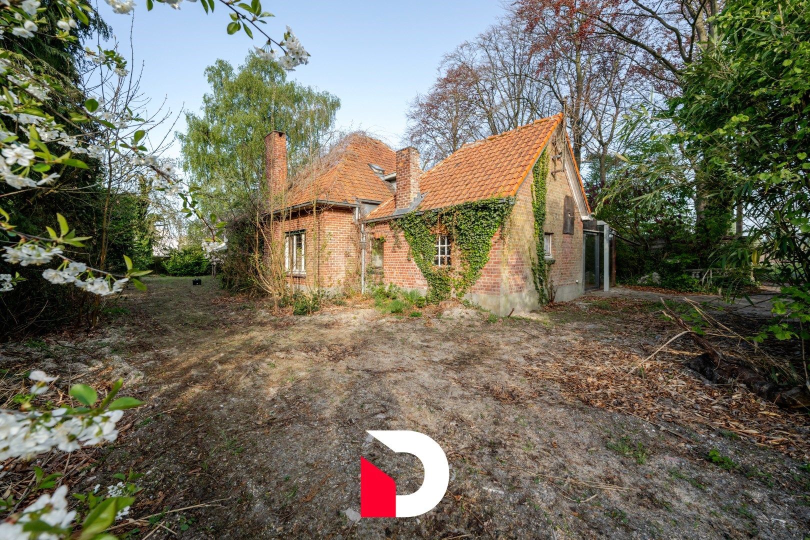 Uniek perceel van 6.448 m² met te renoveren woonst aan Merkenveld bos te Zedelgem  foto 2