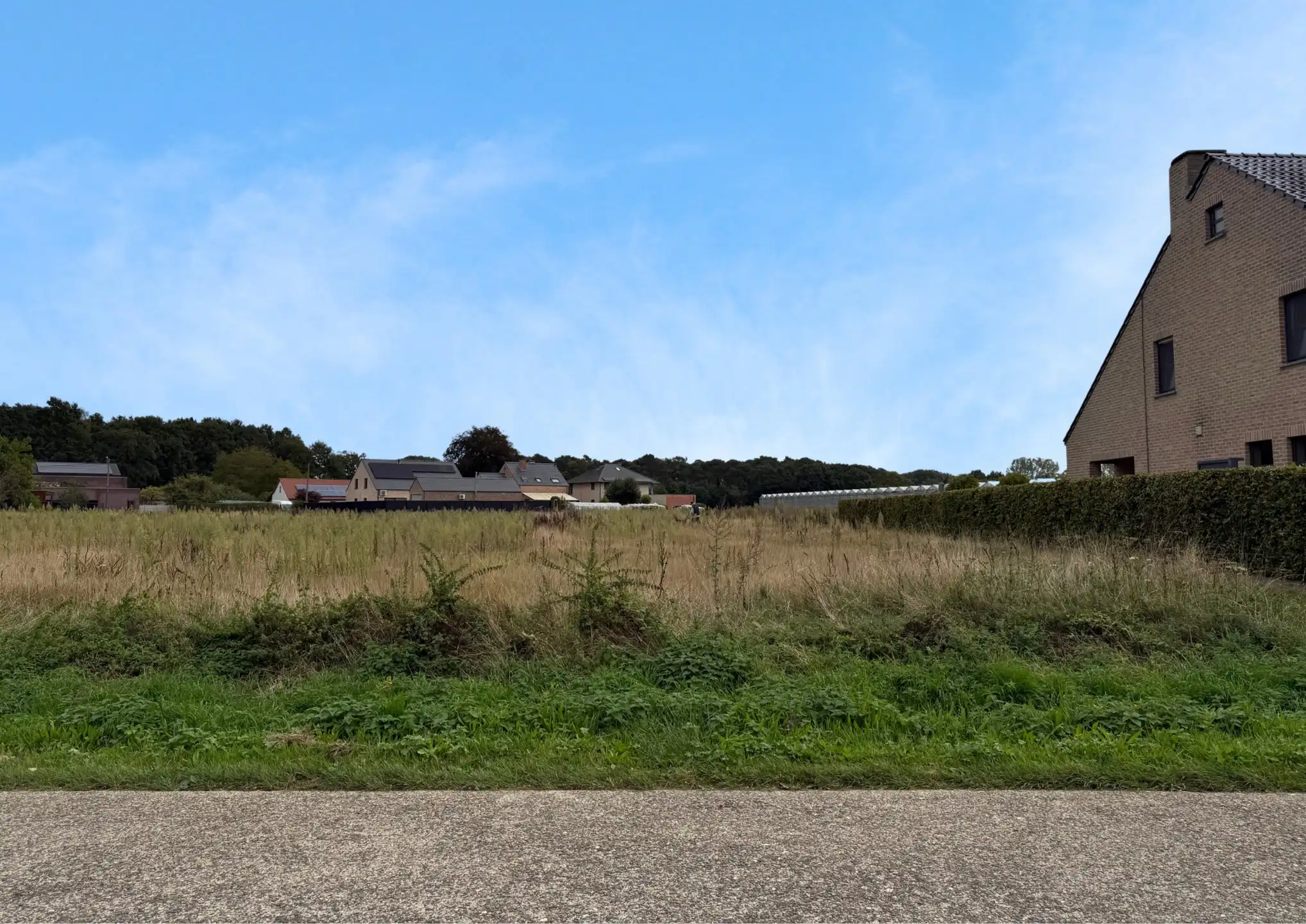 Bouwgrond voor open bebouwing te Herselt  foto 4