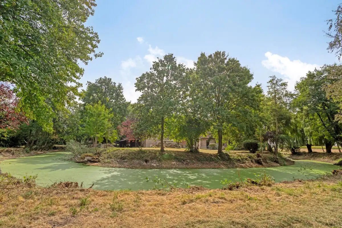 Unieke hoeve met grandeur op 2,3 ha parkdomein  foto 8