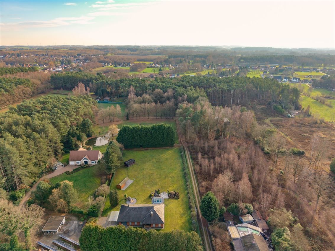 verborgen parel in het groen foto 31