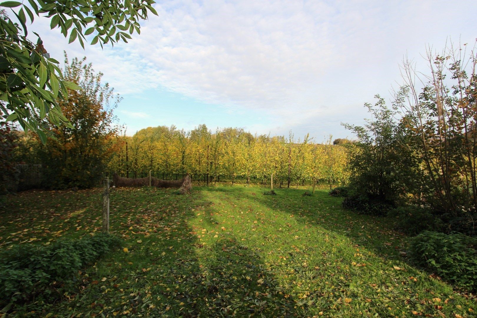 Mooi perceel bouwgrond met diepe tuin en zicht op groen foto 3