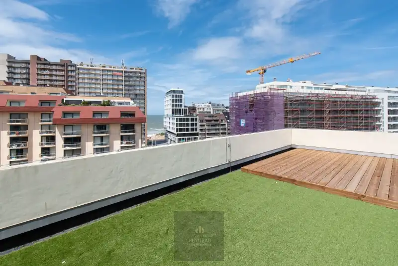 Vernieuwd dakappartement met zeer groot dakterras. foto 27