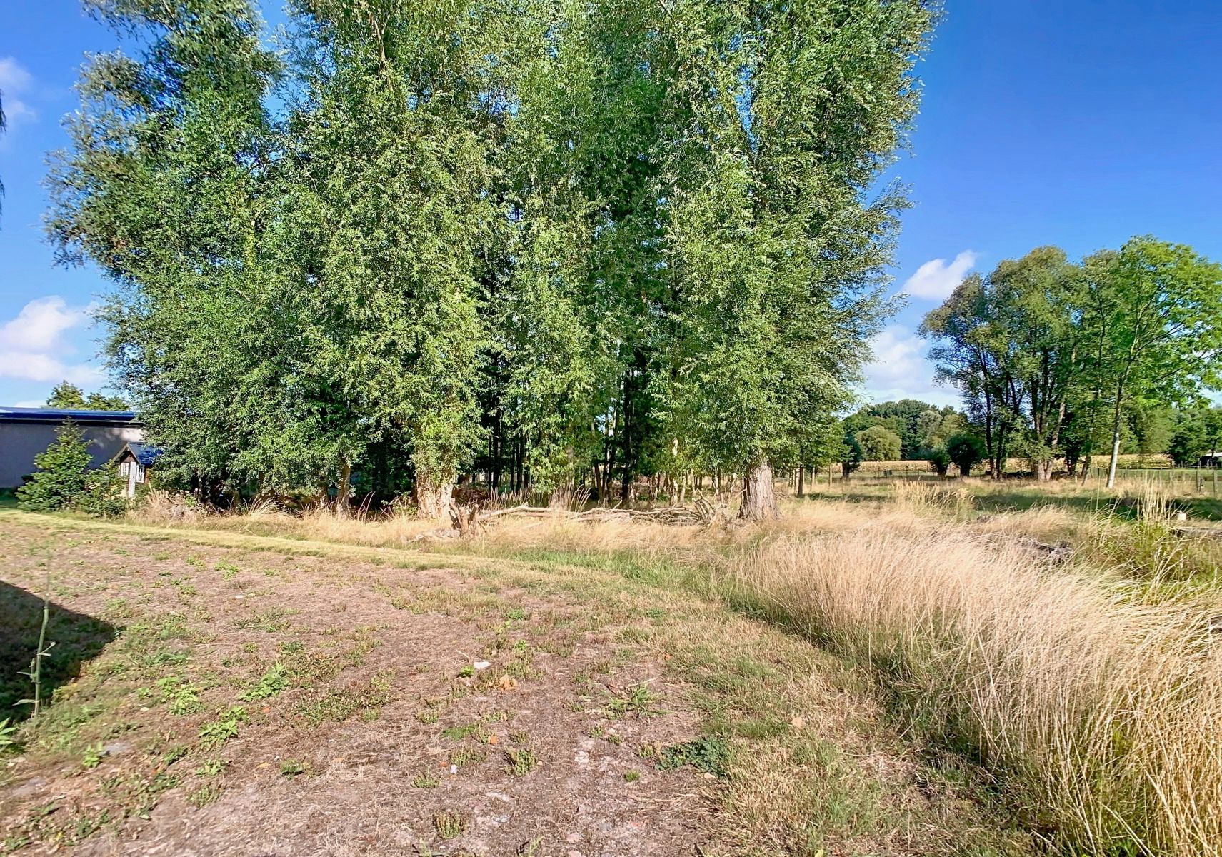 Zéér ruime én Stevige Woning met 3 SLPK, Tuin én Weilanden! foto 23
