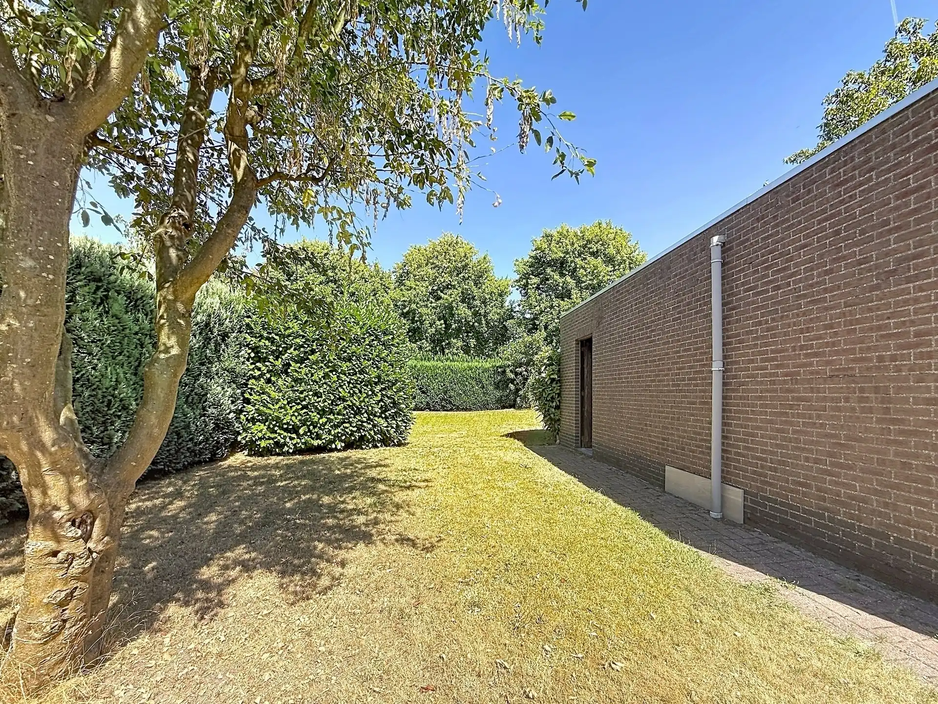 Ruime halfopen bebouwing op toplocatie in Sint-Niklaas foto 4