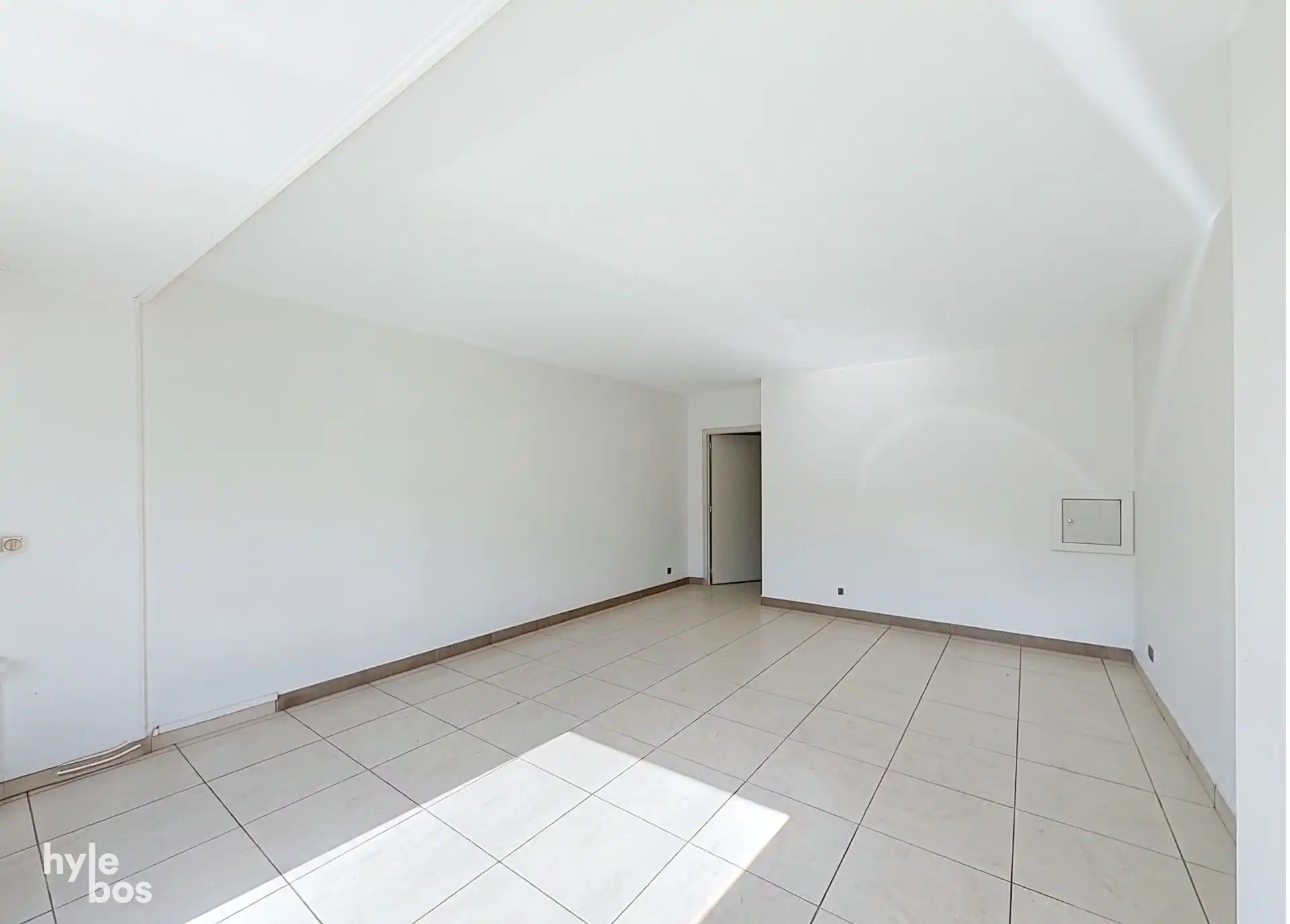 Centraal gelegen, zeer ruim drie slaapkamer appartement met stadstuin en garage foto 5