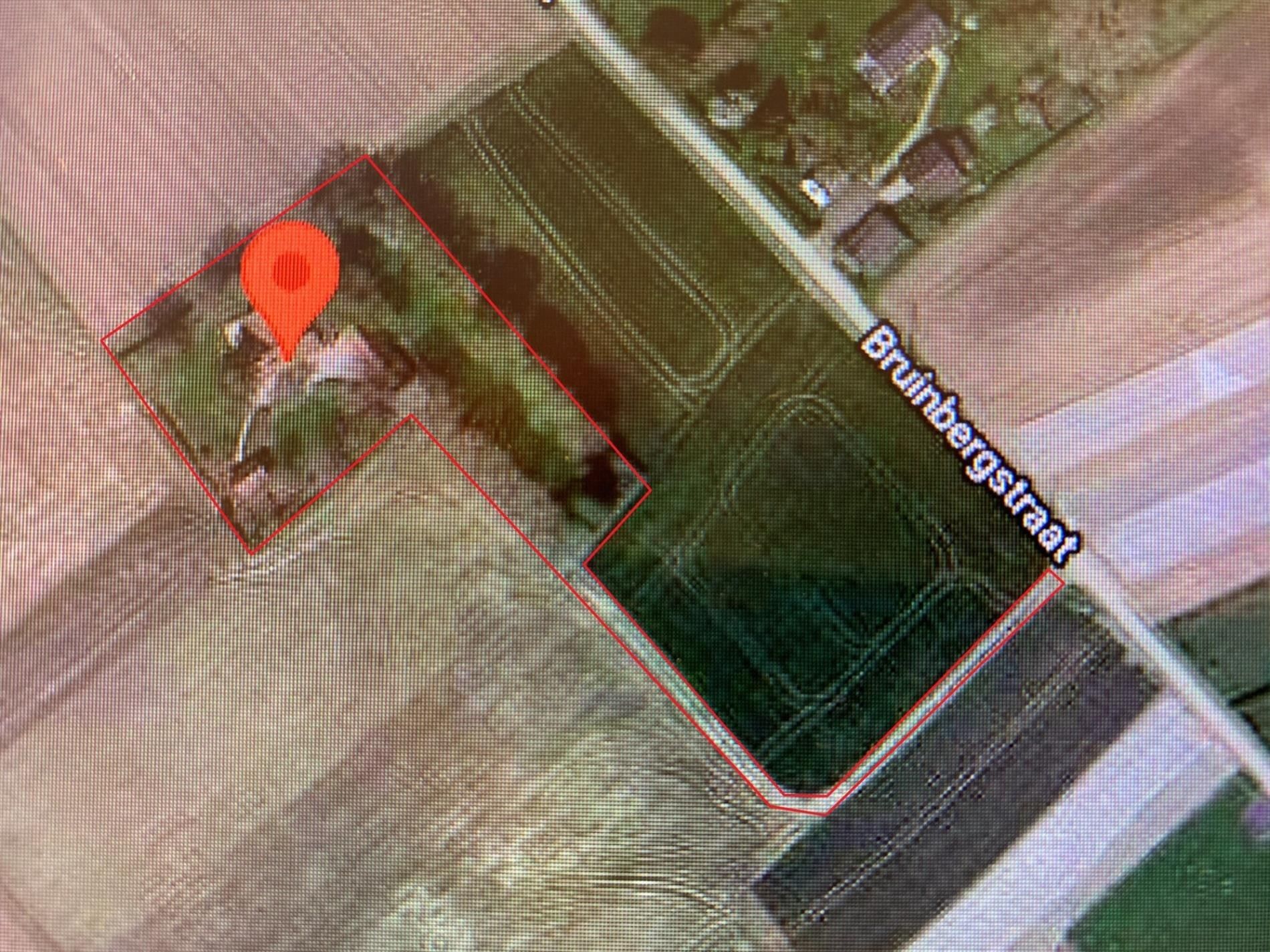 Authentieke hoeve op 3886 m² grond, landelijk gelegen met prachtige tuin. foto 8